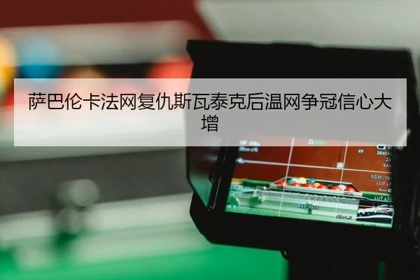 sa-ba-lun-ka-fa-wang-fu-chou-si-wa-tai-ke-hou-wen-wang-zheng-guan-xin-xin-da-zeng-2-566.jpg
